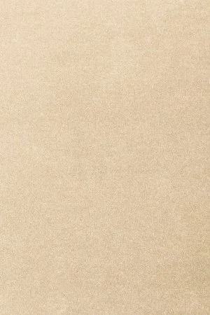 Ковровое покрытие AW Oinone 34 - (5м) в Челябинске