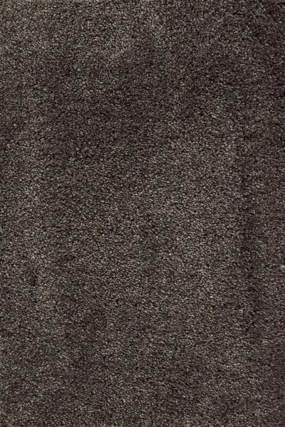 Ковровое покрытие AW Fedone 44 - (5м) в Челябинске