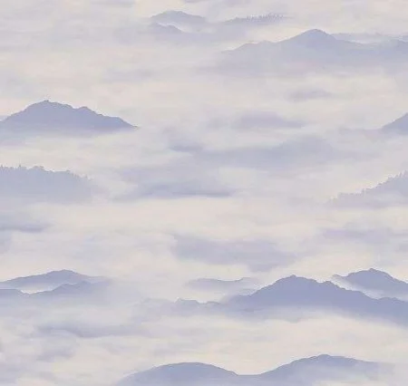 Обои Loymina Clair CLR4, 006 в Челябинске