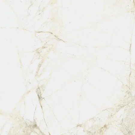 Керамогранит Coliseum Канова Уайт 60х60 (Натуральный и Реттифицированный) в Челябинске