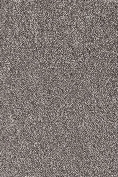 Ковровое покрытие AW Messalina 49 - (5м) в Челябинске