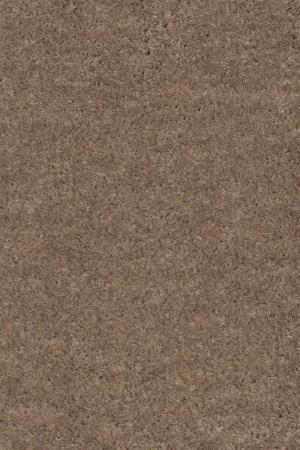 Ковровое покрытие AW Euphoria 36 - (5м) в Челябинске