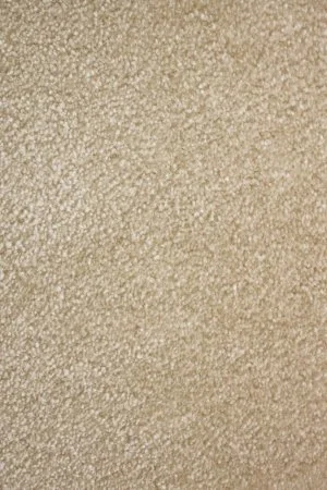 Ковровое покрытие AW Euphoria 33 - (5м) в Челябинске