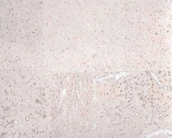 Настенное пробковое покрытие CorkArt PW 386 WS в Челябинске