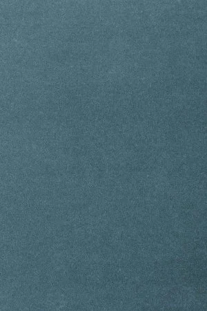 Ковровое покрытие AW Oinone 74 - (4м) в Челябинске