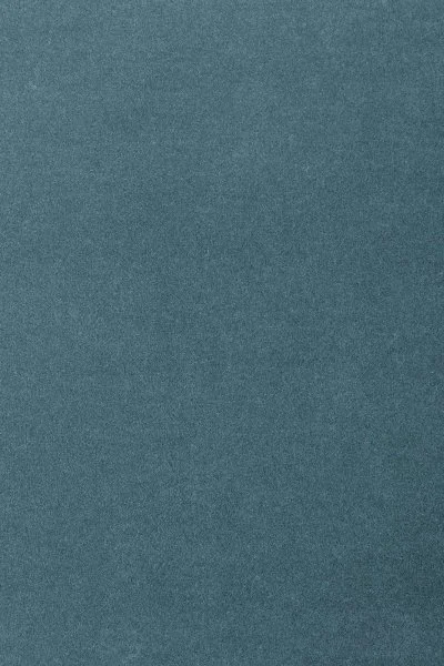 Ковровое покрытие AW Oinone 74 - (5м) в Челябинске