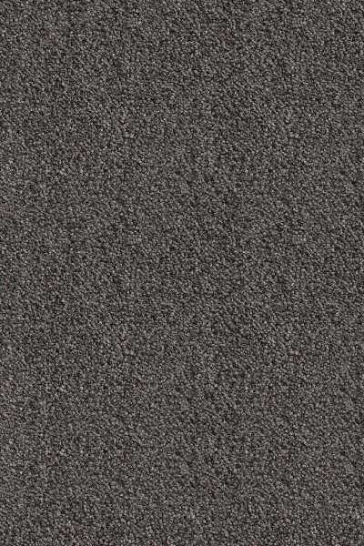 Ковровое покрытие AW Messalina 99 - (5м) в Челябинске