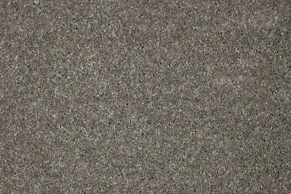 Ковровое покрытие AW Gala 94 - (5м) в Челябинске