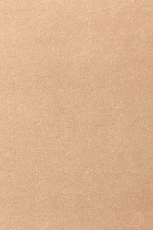 Ковровое покрытие AW Oinone 08 - (4м) в Челябинске