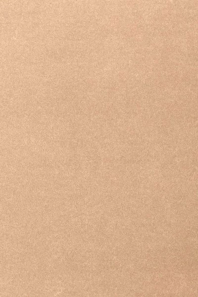 Ковровое покрытие AW Oinone 08 - (4м) в Челябинске