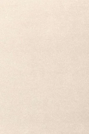 Ковровое покрытие AW Oinone 03 - (5м) в Челябинске