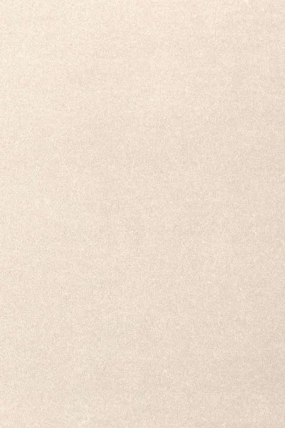 Ковровое покрытие AW Oinone 03 - (5м) в Челябинске