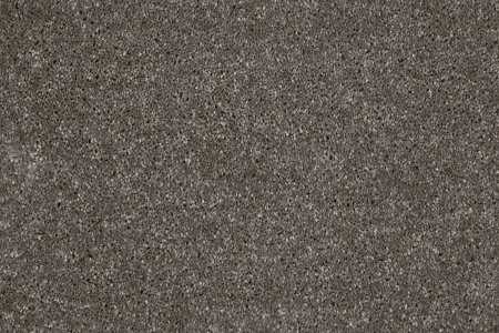 Ковровое покрытие AW Gala 49 - (4м) в Челябинске