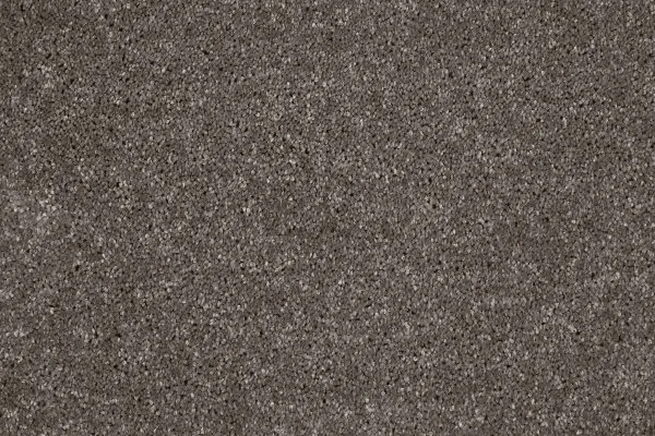 Ковровое покрытие AW Gala 49 - (4м) в Челябинске