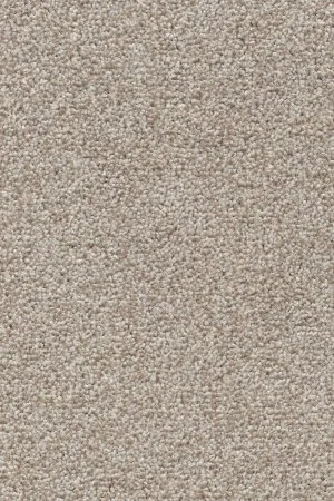 Ковровое покрытие AW Stainguard Harvest 04 - (4м) в Челябинске