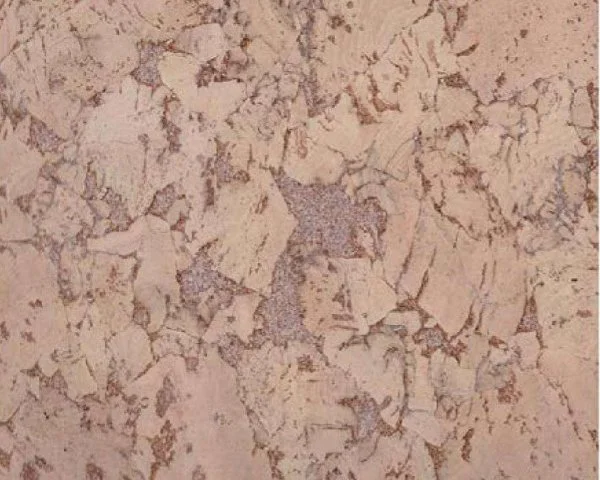 Настенное пробковое покрытие CorkArt PW 324 NK в Челябинске