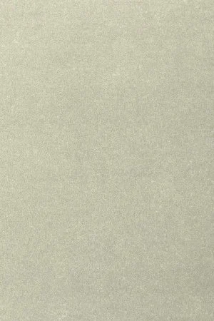 Ковровое покрытие AW Oinone 02 - (5м) в Челябинске