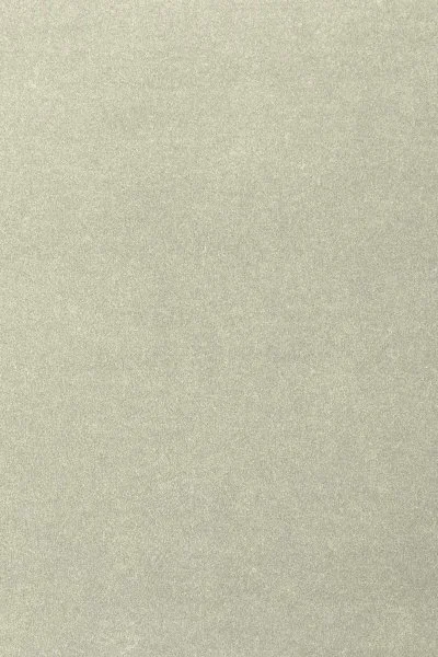 Ковровое покрытие AW Oinone 02 - (4м) в Челябинске