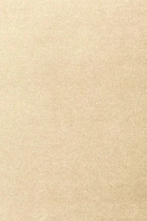 Ковровое покрытие AW Oinone 33 - (5м) в Челябинске