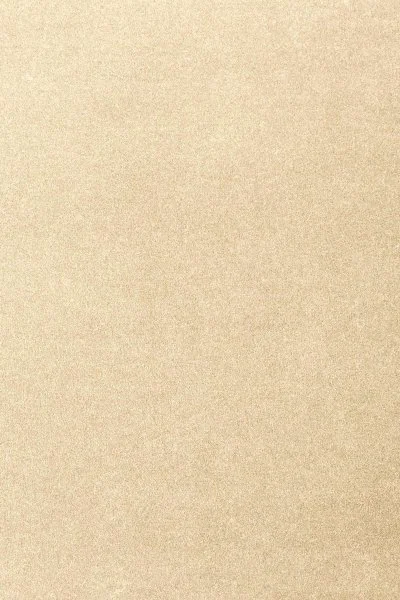 Ковровое покрытие AW Oinone 33 - (4м) в Челябинске