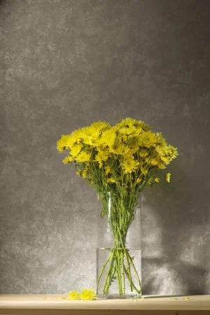 Обои Loymina Golden Library TDG 7, 008 в Челябинске