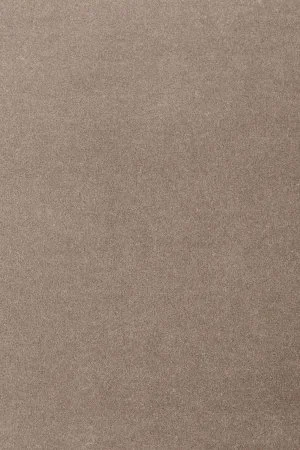 Ковровое покрытие AW Oinone 49 - (5м) в Челябинске