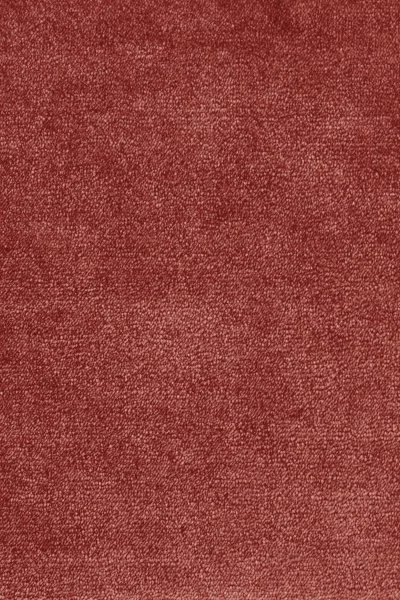 Ковровое покрытие AW Omphale 10 - (5м) в Челябинске