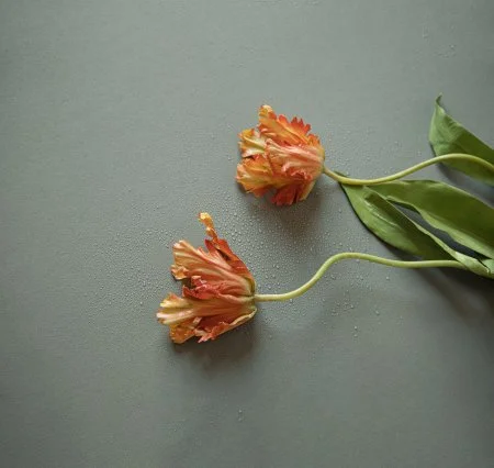 Обои Loymina Russian Classic Ru10, 006 в Челябинске