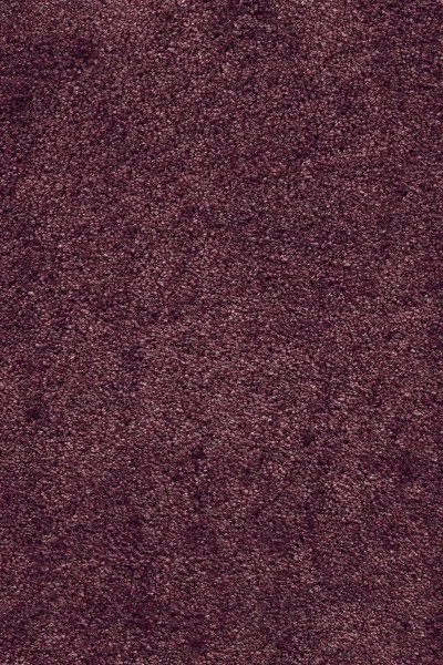 Ковровое покрытие AW Fedone 19 - (5м) в Челябинске