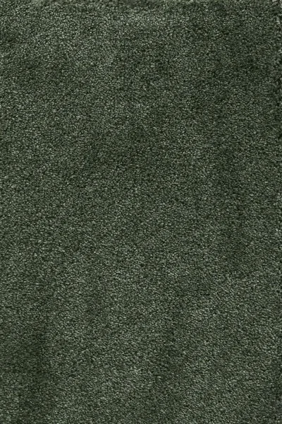 Ковровое покрытие AW Fedone 24 - (5м) в Челябинске