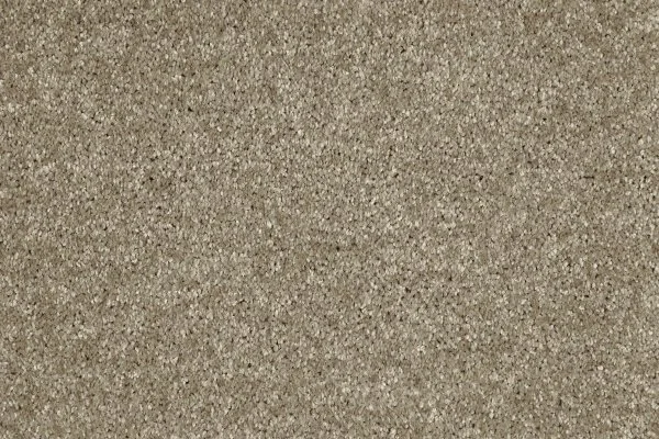 Ковровое покрытие AW Gala 33 - (4м) в Челябинске