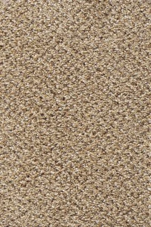 Ковровое покрытие AW Stainaway Tweed 50 - (4м) в Челябинске