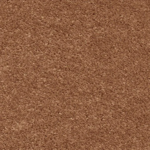 Ковровое покрытие AW Euphoria 84 - (5м) в Челябинске