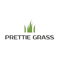 Искусственная трава Prettie Grass купить в Челябинске по выгодной цене Искусственная трава Prettie Grass в Челябинске