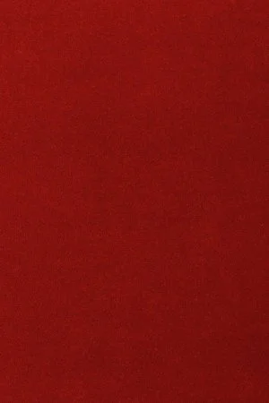 Ковровое покрытие AW Oinone 10 - (4м) в Челябинске