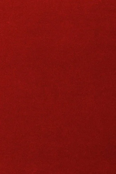 Ковровое покрытие AW Oinone 10 - (5м) в Челябинске