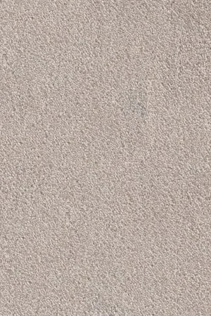 Ковровое покрытие AW Messalina 37 - (5м) в Челябинске