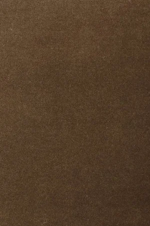 Ковровое покрытие AW Oinone 44 - (5м) в Челябинске