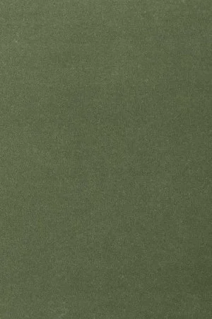 Ковровое покрытие AW Oinone 24 - (4м) в Челябинске