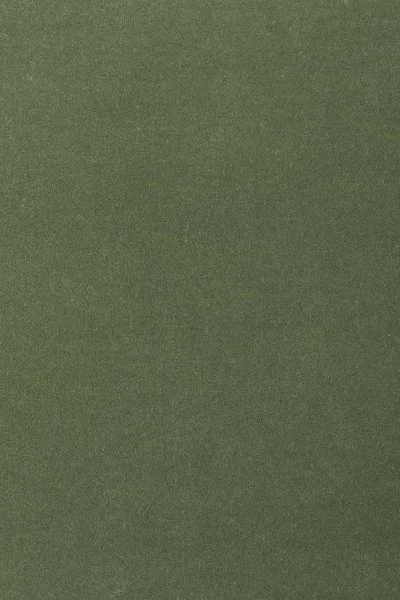 Ковровое покрытие AW Oinone 24 - (4м) в Челябинске