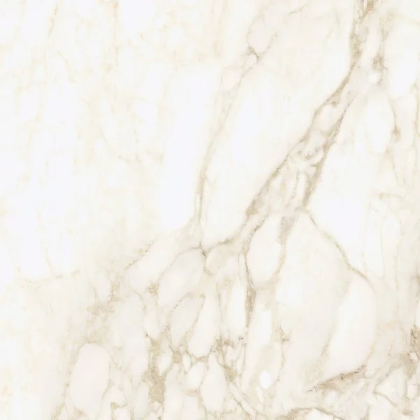 Керамогранит Coliseum Микеланджело Ворм 60х60 (Натуральный и Реттифицированный) в Челябинске