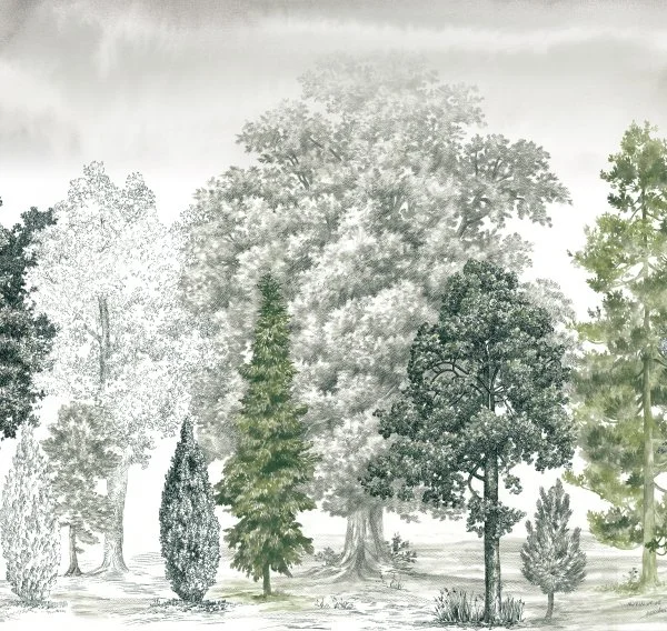 ART14 005-1 (вблизи)