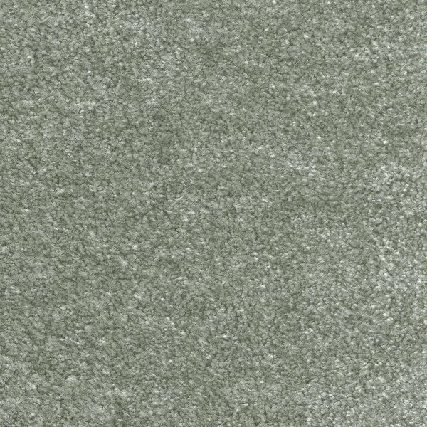 Ковровое покрытие AW Euphoria 28 - (5м) в Челябинске