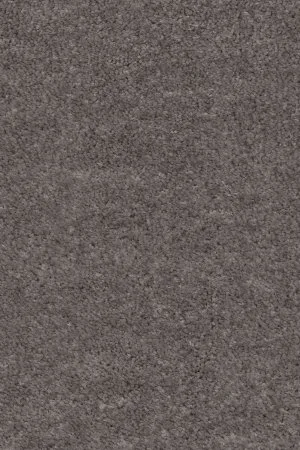 Ковровое покрытие AW Euphoria 45 - (5м) в Челябинске