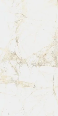 Керамогранит Coliseum Канова Уайт 60х120 (Натуральный и Реттифицированный) в Челябинске