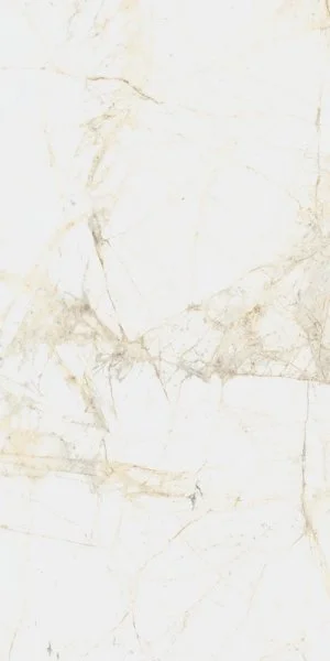 Керамогранит Coliseum Канова Уайт 60х120 (Натуральный и Реттифицированный) в Челябинске