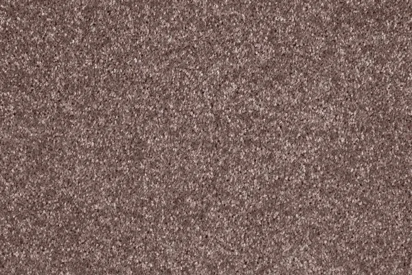 Ковровое покрытие AW Gala 60 - (5м) в Челябинске