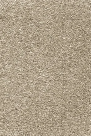 Ковровое покрытие AW Omnia 33 - (4м) в Челябинске