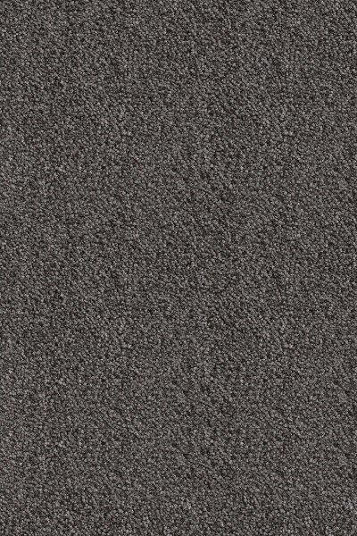 Ковровое покрытие AW Messalina 99 - (5м) в #REGION_NAME_DECLINE_PP#