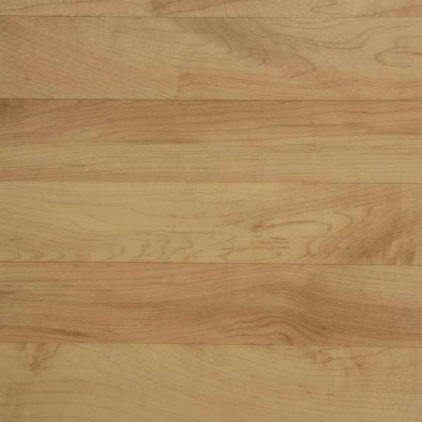 Спортивный линолеум Tarkett Omnisports Action 65 Cold Beech в Челябинске